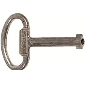 Sleutel dubbelbaard 5mm