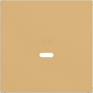 Centraalplaat voor USB-C-contactdoos, A.x/C.x, hazel, mat