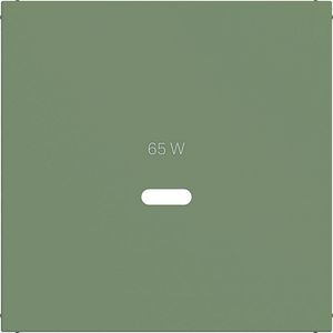 Centraalplaat voor USB-C-contactdoos, A.x/C.x, aloe, mat