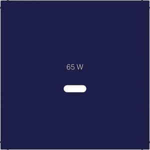Centraalplaat voor USB-C-contactdoos, A.x/C.x, ocean, halfglanzend