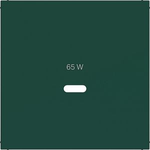 Centraalplaat voor USB-C-contactdoos, A.x/C.x, jade, halfglanzend