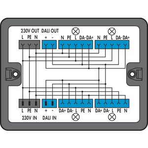 Verdeeldoos 230V + DALI 2 ingangen 899-631/181-000