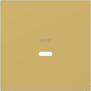 Centraalplaat voor USB-C-contactdoos, A.x/C.x, gold, metalic