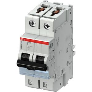 Installatieautomaat 2-polig D-karakteristiek 10A 10kA
