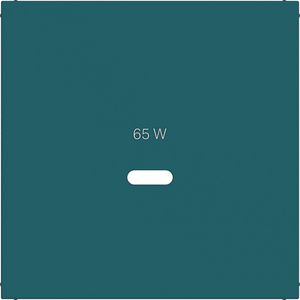 Centraalplaat voor USB-C-contactdoos, A.x/C.x, azure, mat