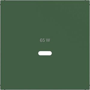 Centraalplaat voor USB-C-contactdoos, A.x/C.x, forest, mat