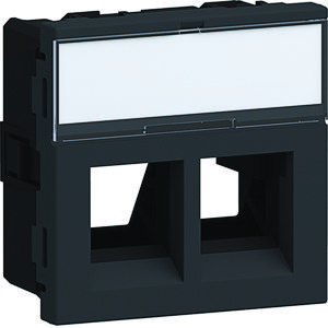 Ecoline45 inbouwset 2x RJ45 mod. jack type 01 45x45, grafietzwart
