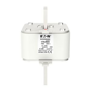 Zekering hoge snelheid 700A AC 660V size 3 76x92x141mm aR