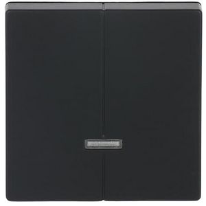 Toets v seriedimmer 6565U f-matzwart (6545-885)