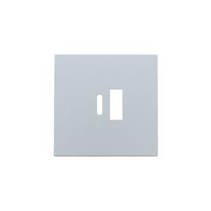 Afwerkingsset dubbele smart USB-A-/USB-C-lader sterling