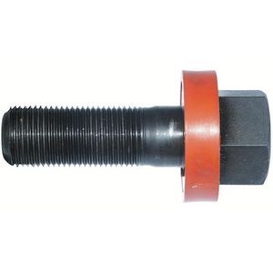 Schroef voor plaatgaten Diameter: 19mm H: 55mm