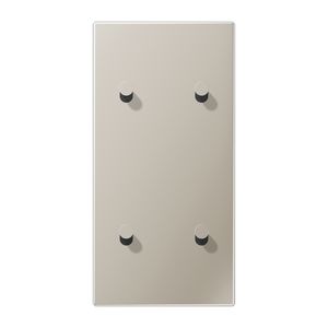 Afdekking LS1912 edelstaal verticaal 2+2 hevel kegel