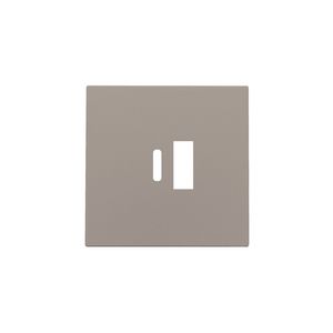 Afwerkingsset dubbele smart USB-A-/USB-C-lader bronze