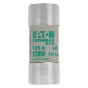 Zekering laagspanning 125A AC 400V 22x58mm aM IEC VVE=10