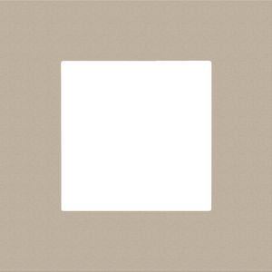 Enkelvoudige afdekplaat Pure steel champagne coated