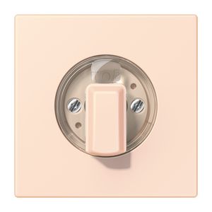 Afdekking jal draaischakelaar klembevestiging LC32082