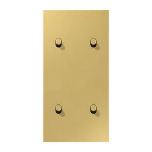 Afdekking LS1912 mess.kl.verticaal 2+2 hevel cyl.