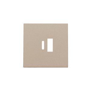 Afwerkingsset dubbele smart USB-A-/USB-C-lader champagne