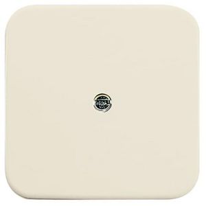 Centraalplaat 1 of 2 x telefoon vast SI creme (2536-212)