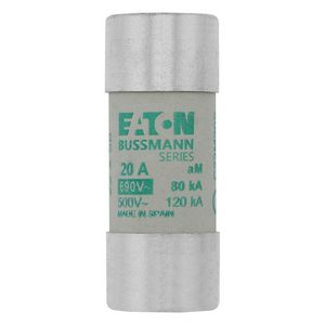Zekering laagspanning 20A AC 690V 22x58 aM met slagp VVE=10