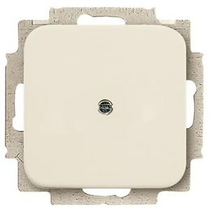 Centraalplaat blind met draagring SI creme (2538-212)