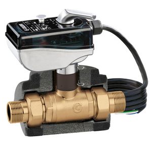 Gemotoriseerd 2-wegventiel 24v 1" met microschakelaar iso