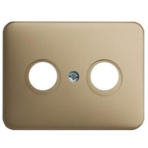 Centraalplaat antenne a-brons (1743-21)