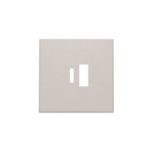 Afwerkingsset dubbele smart USB-A-/USB-C-lader light grey