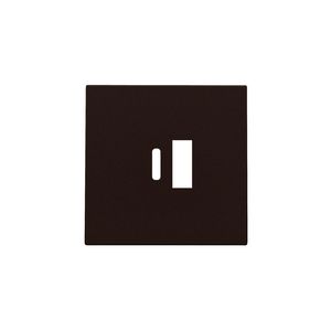 Afwerkingsset dubbele smart USB-A-/USB-C-lader dark brown