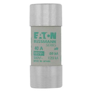 Zekering laagspanning 40A AC 690V 22x58 aM met slagp VVE=10