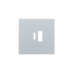 Afwerkingsset dubbele smart USB-A-/USB-C-lader sterling