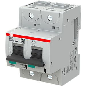 Installatieautomaat 50kA 125A B-karakteristiek 2-polig