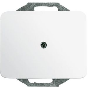 Centraalplaat inb draag zwakstr boring 10mm a-albast/st wit (1749-24G)