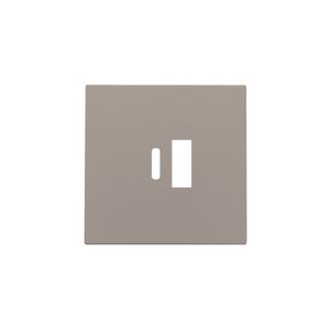 Afwerkingsset dubbele smart USB-A-/USB-C-lader bronze