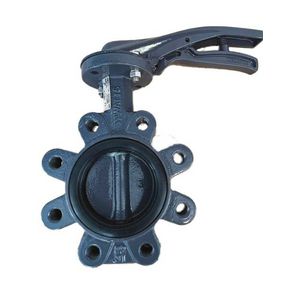 Vlinderklep XYLIA2 LUG DN100 GGG40 EPDM epoxy handgreep