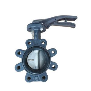 Vlinderklep XYLIA2 LUG gietijzer rvs klepblad DN65 PN16