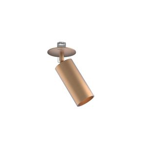 Cilindervormige verlichting GU10 2700K IP44 dimbaar en kantelbaar 5,5cm geborsteld koper
