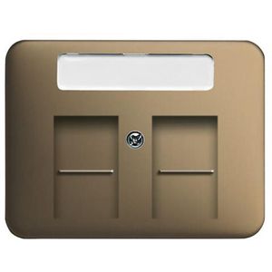 Centraalplaat 2 x mod jack schuifjes a-brons (1800-21)