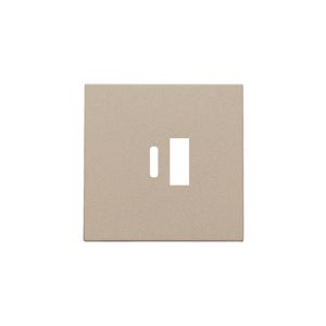 Afwerkingsset dubbele smart USB-A-/USB-C-lader champagne