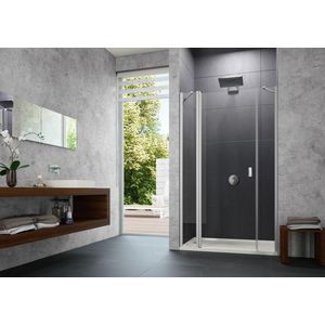 Deur Design P 1385-1415x2000mmzilvermat helder m.segment