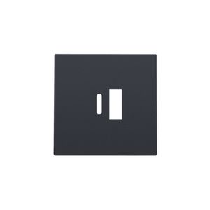 Afwerkingsset dubbele smart USB-A-/USB-C-lader anthracite