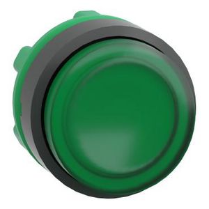 Kop drukknop Verlicht Verhoogd 22mm LED Groen Harmony XB5