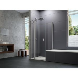 Zijwand Design P 4-H 855-870x2000mm zilvermat helder