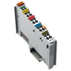 2 pulsbreedtemodulatie uitgangen DC 24V 0,1A lichtgrijs