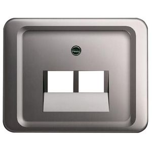 Centraalplaat voor datadoos 2 x RJ45 a-platin (1803-02-20)
