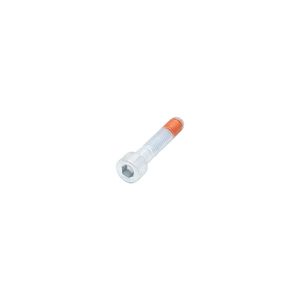 Inbusbout M8 305027
