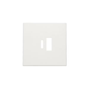 Afwerkingsset dubbele smart USB-A-/USB-C-lader white