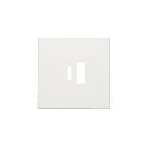 Afwerkingsset dubbele smart USB-A-/USB-C-lader white