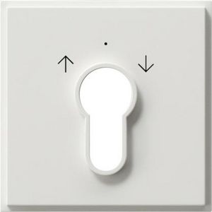 Afdekking sleutelschakelaar /-drukcontact Gira TX_44 (SW IB) zuiver wit