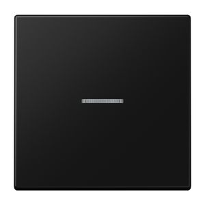 Stuurafdekking LS 1voudig grafietzwart mat HOME